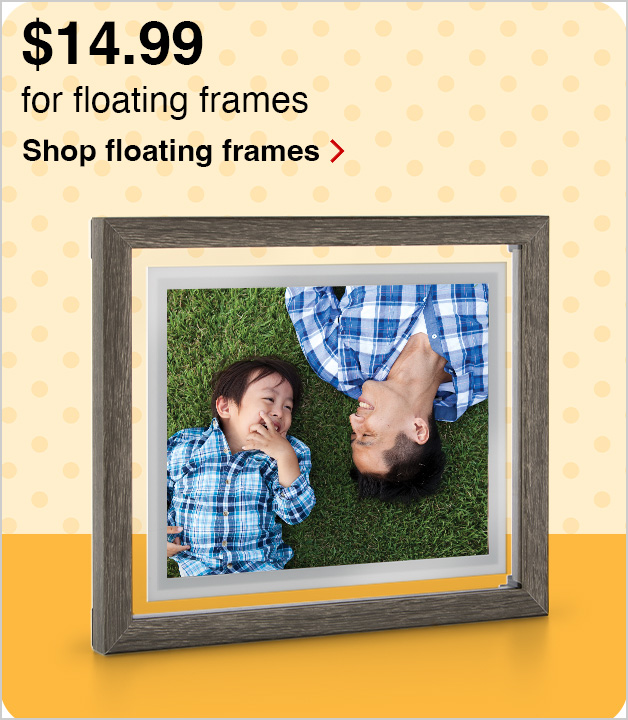 $14.99 Special Price Floating Frame