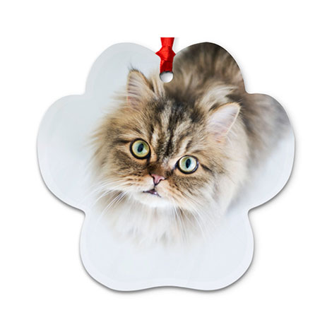 Paw Print Ornament