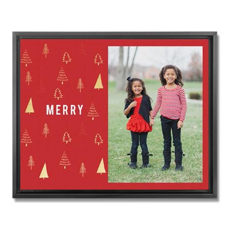 Framed Canvas Prints